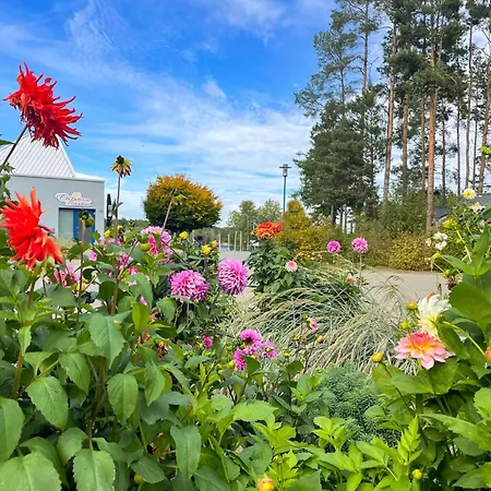 Hafencamp Senftenberger Grosskoschen