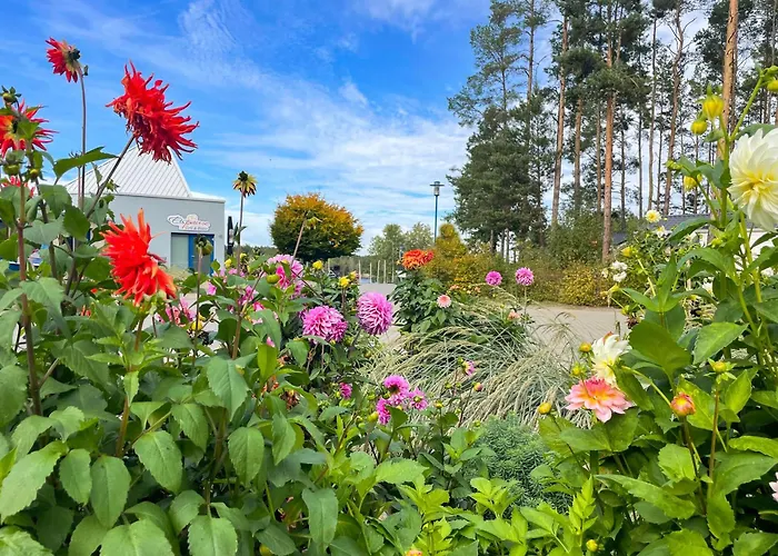 Hafencamp Senftenberger Grosskoschen